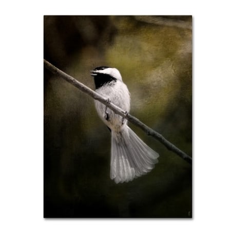 Jai Johnson 'A Song In Your Heart Chickadee' Canvas Art,18x24